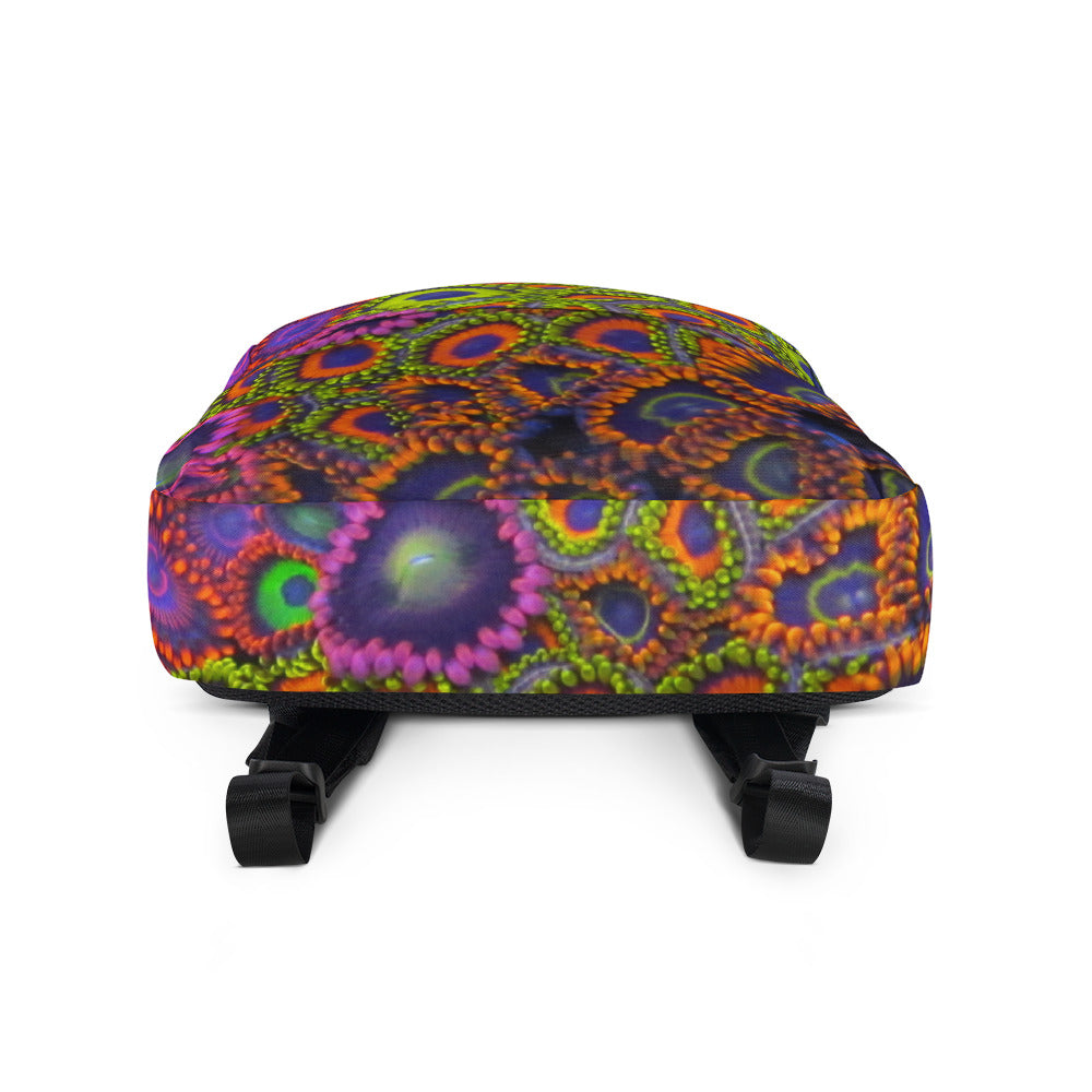 tropical zoa punch