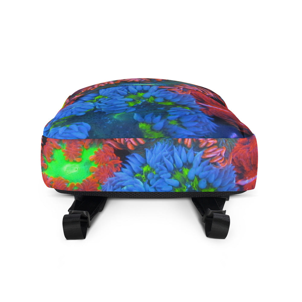 Rockin Flowers