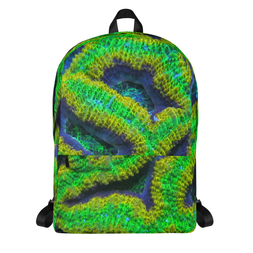 Sour Patch