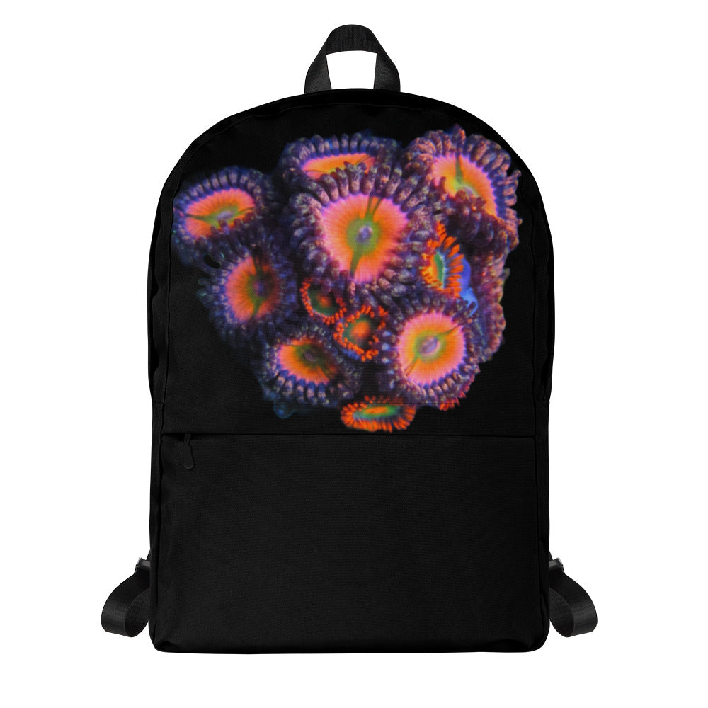 Rainbow Infusion