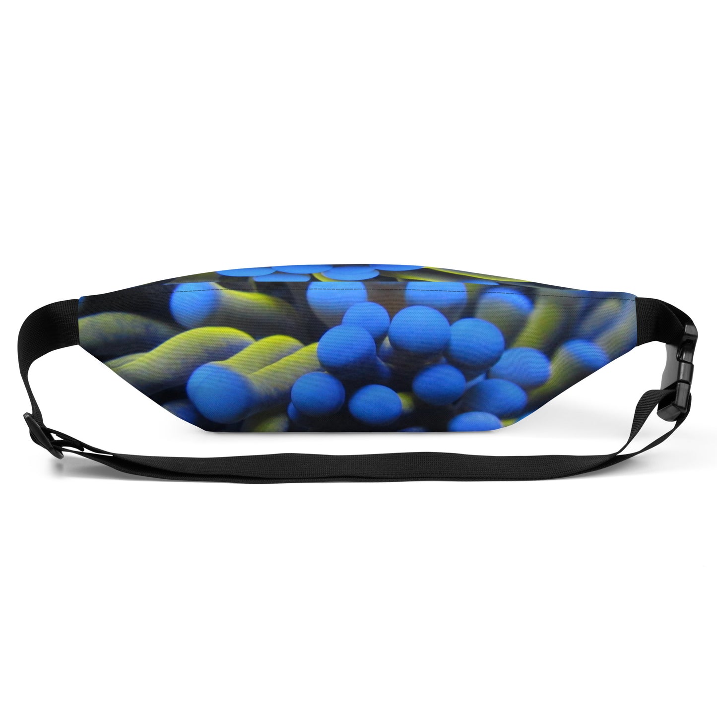 Fanny Pack
