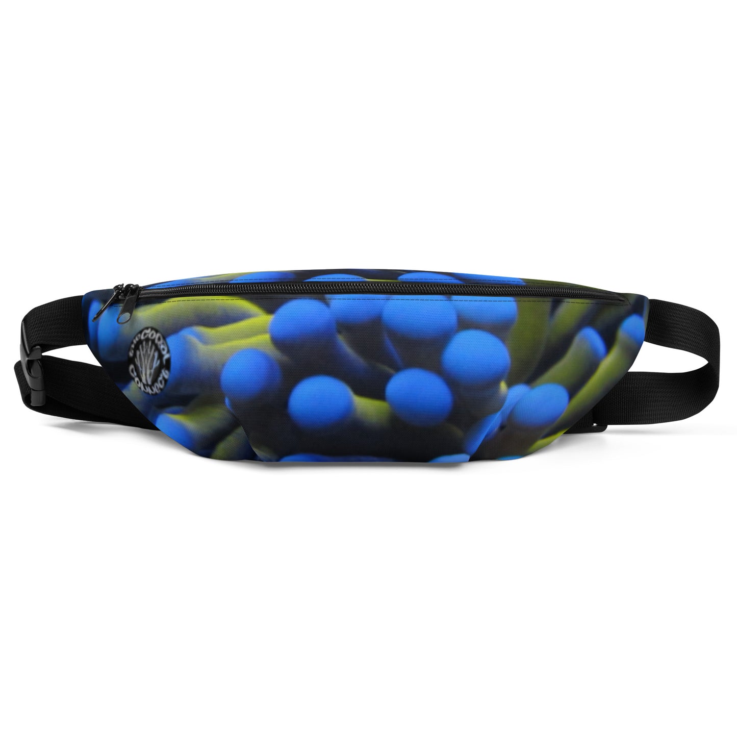Fanny Pack