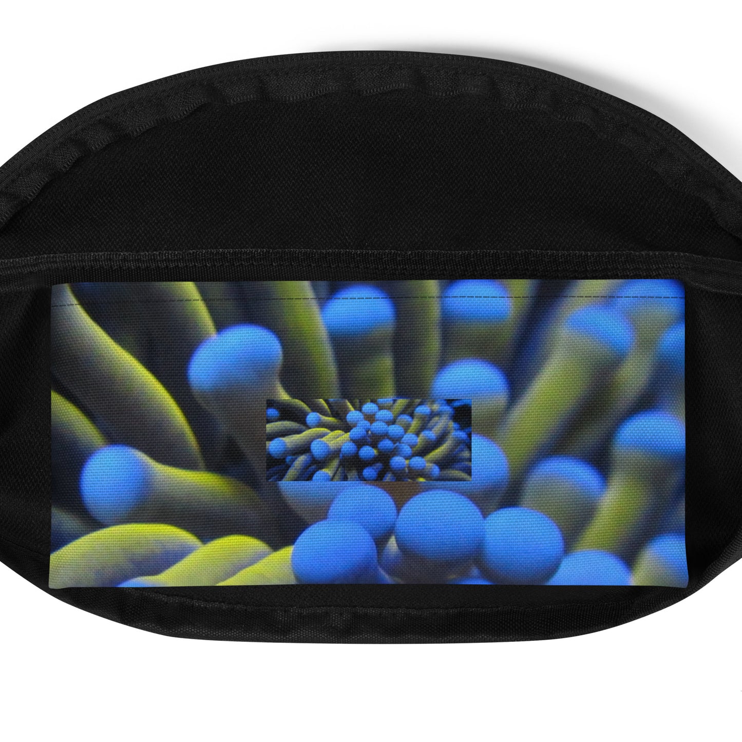 Fanny Pack
