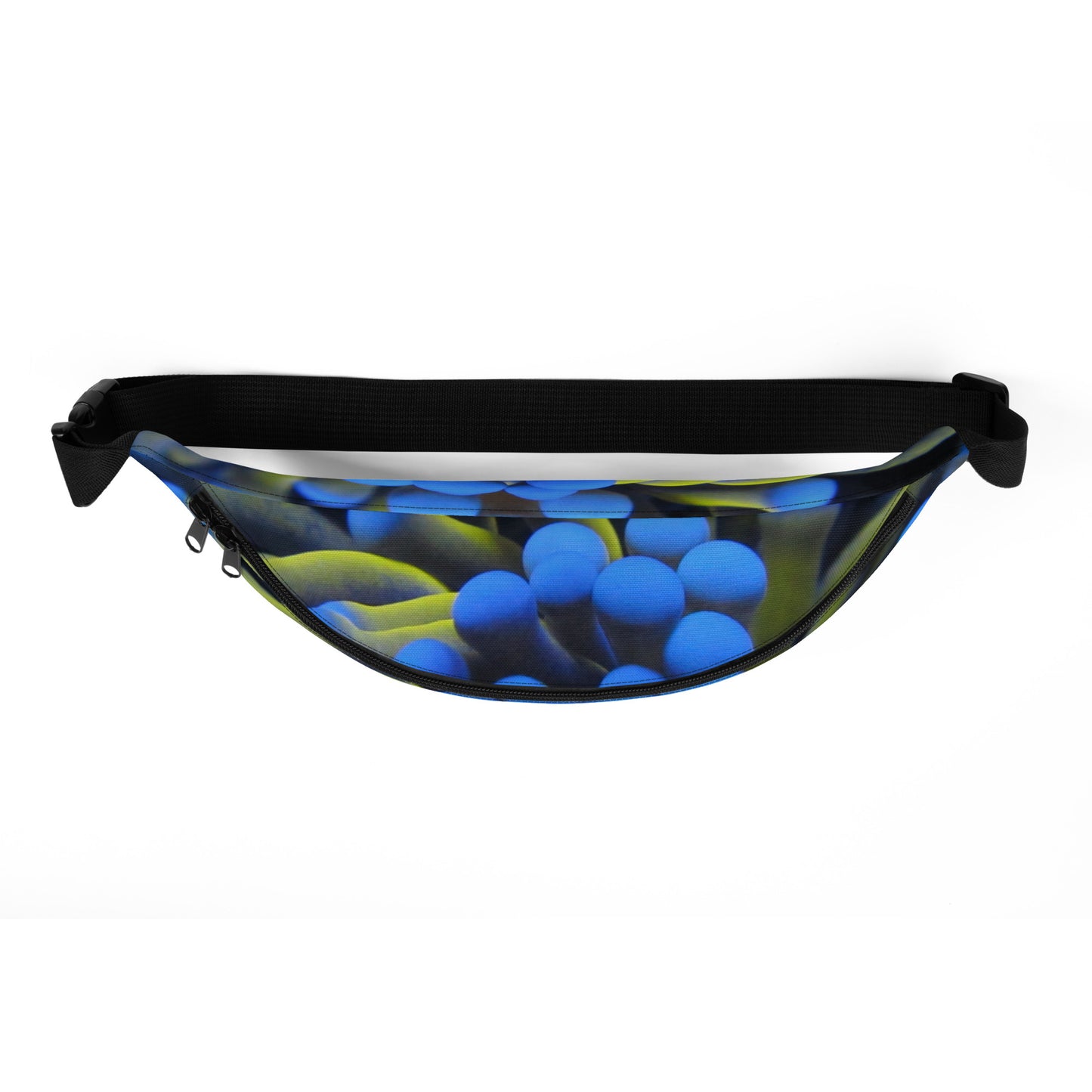 Fanny Pack