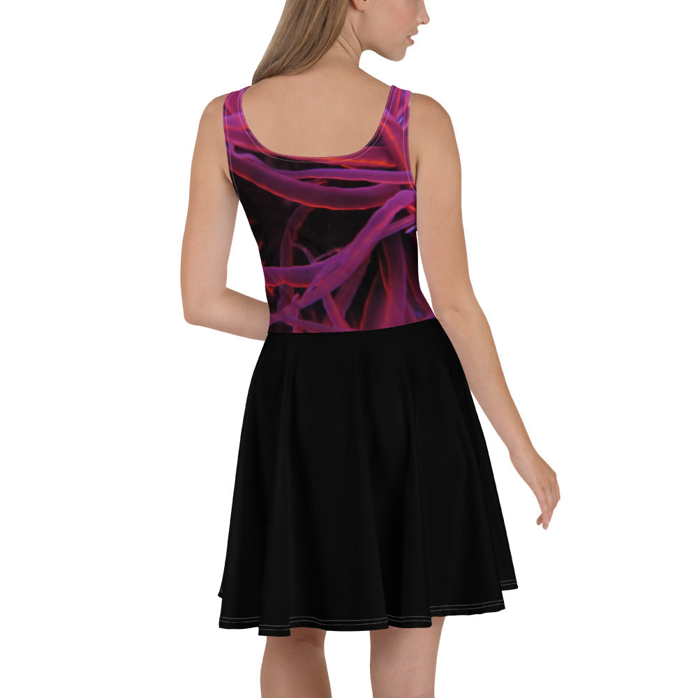 Skater Dress